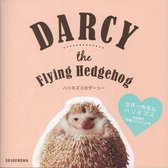 Darcy the Flying Hedgehog