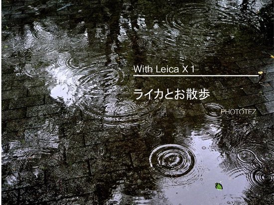 With Leica X1 1 - ライカとお散歩 - cover