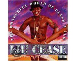 Wonderful World of Cease A Leo