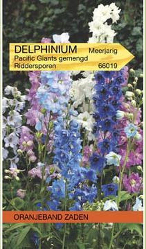 Delphinium, Ridderspoor Pacific Giants