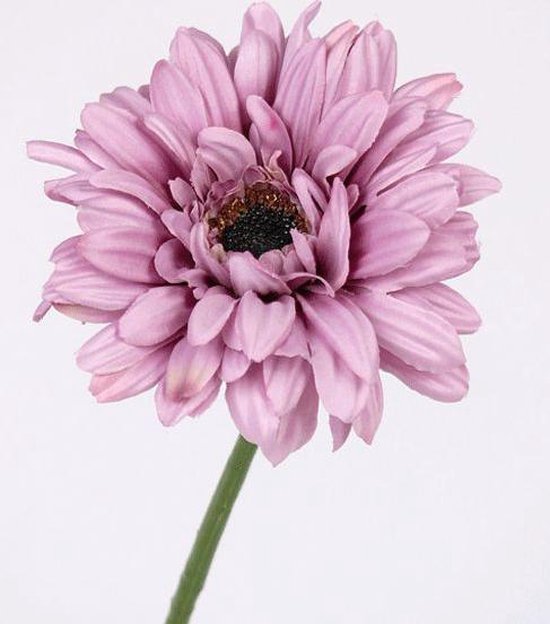 Kunstbloem gerbera lila 63 cm 