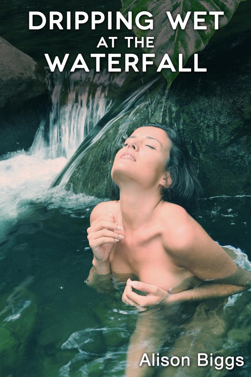 Dripping Wet at the Waterfall (ebook), Alison Bigg | 9781301493937 | Boeken  | bol.com