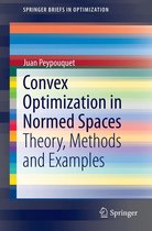 SpringerBriefs in Optimization 0 - Convex Optimization in Normed Spaces