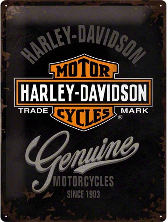 houder onregelmatig Karakteriseren Metalen Reclamebord Harley-Davidson Genuine 30 x 40 cm | bol.com