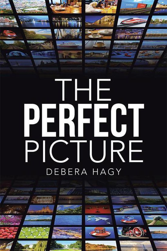 The Perfect Picture - cover