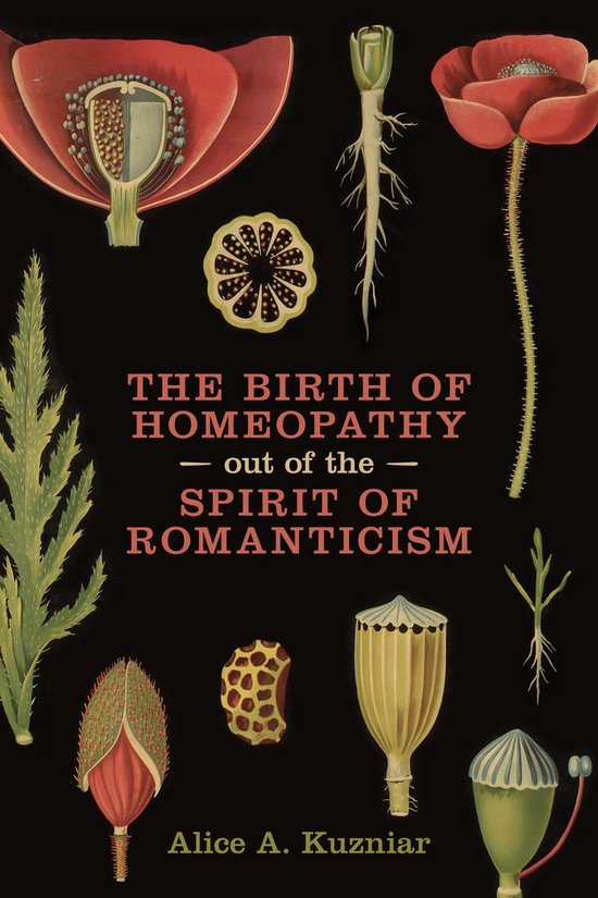 The Birth of Homeopathy out of the Spirit of Romanticism - cover