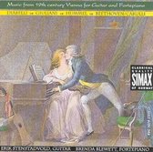 Music From 19Th Century Vienna For