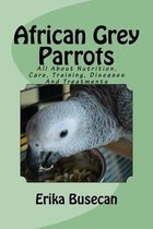 African Grey Parrots