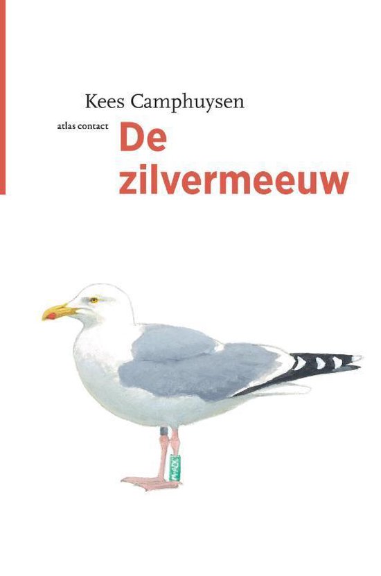 De vogelserie 12 - De zilvermeeuw