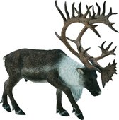 Collecta Wilde dieren woudhert 12 x 10.8 cm