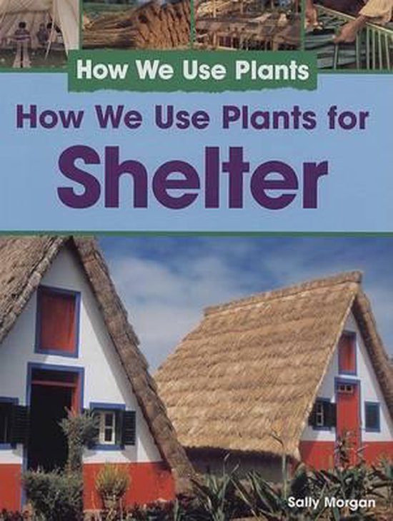 How We Use Plants for Shelter, Sally 9781404244221 Boeken
