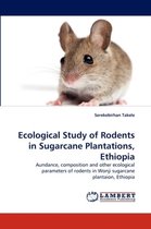 Ecological Study of Rodents in Sugarcane Plantations, Ethiopia
