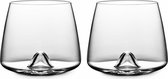 Whiskey glasses - 2 glazen