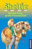 Sheltie - Kleines Pony, große Freundschaft