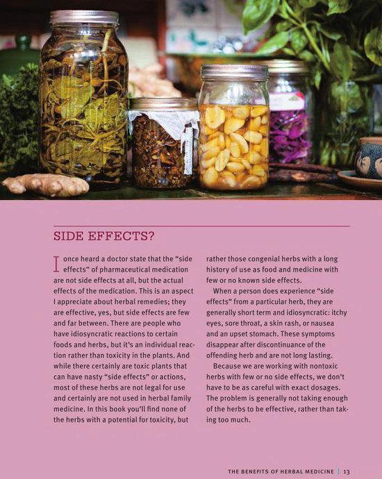 Beginners Guide To Medicinal Herbs