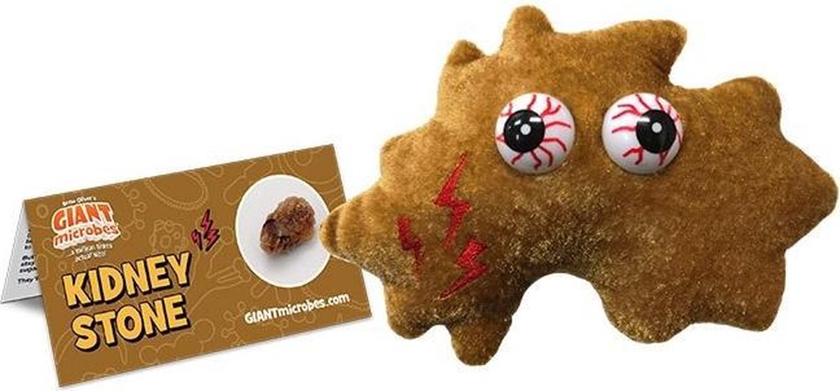 Kidney Stone
