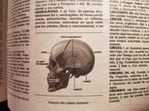 Salvat Alfa Diccionario Enciclopedico