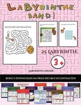 Labyrinth Online (Labyrinthe - Band 1)