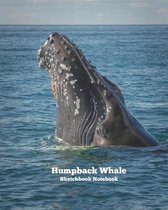 Humpback Whale Sketchbook Notebook