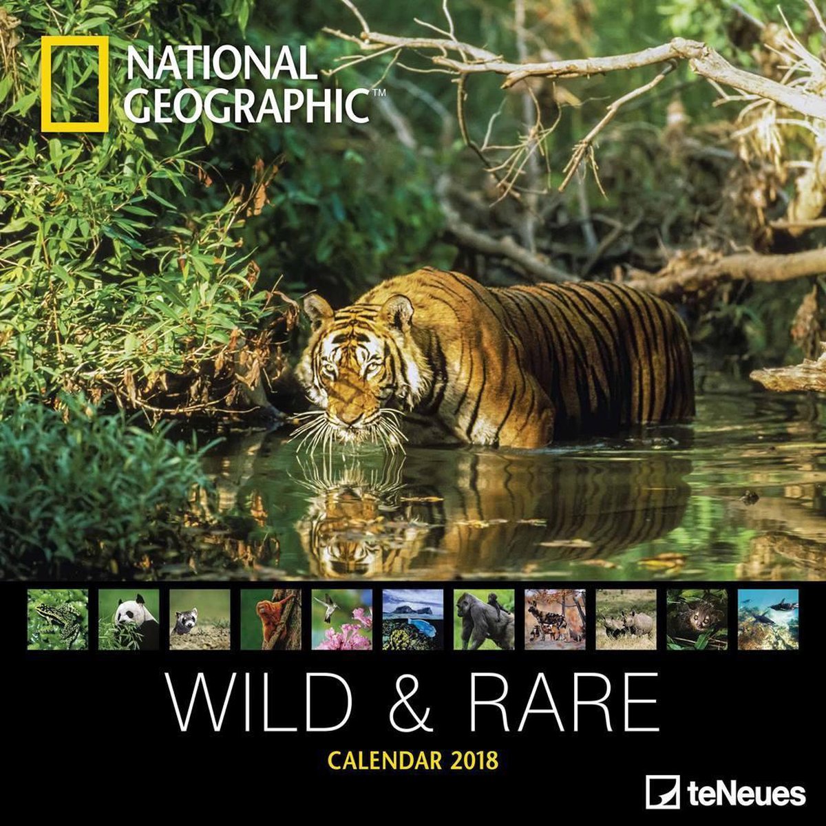 National Geographic: Wild & Rare 2018 Broschürenkalender