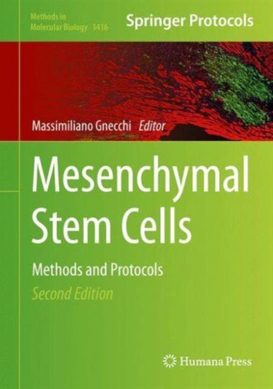 Mesenchymal Stem Cells | 9781493935826 | Massimiliano Gnecchi | Boeken ...