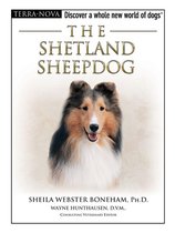 The Shetland Sheepdog