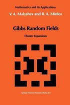 Gibbs Random Fields