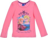 Longsleeve shirt Disney Frozen maat 122/128