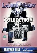 Laurel And Hardy Collection - Vol. 3 [1925] [DVD]