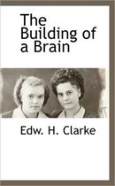 The Building of a Brain