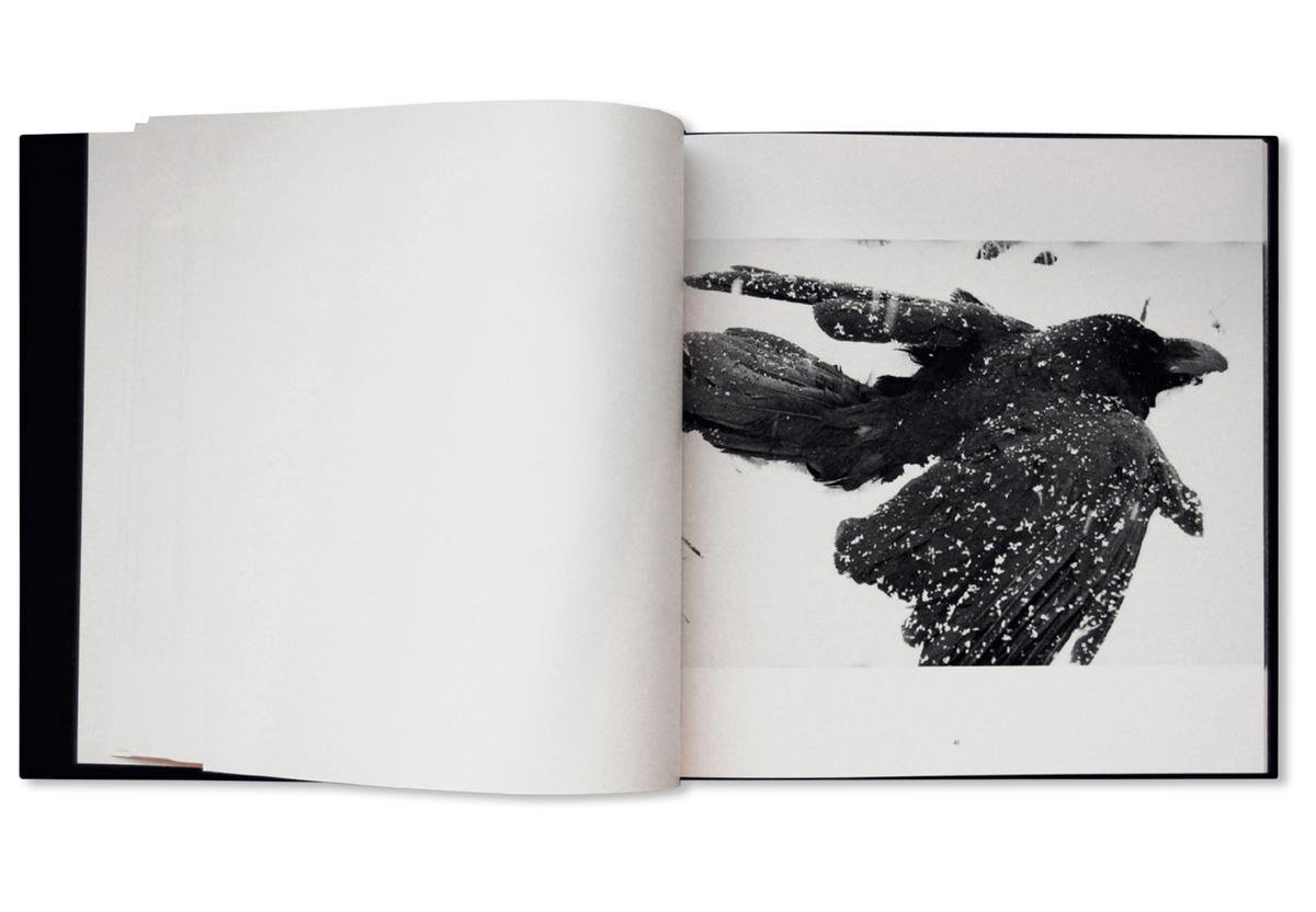 Ravens, Masahisa Fukase | 9781910164839 | Livres | bol