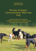 The Key To Better Communication With Your Dog