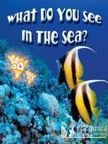 Board Books - What Do You See in the Sea?
