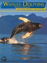 Whales & Dolphins: Shorelines Of America