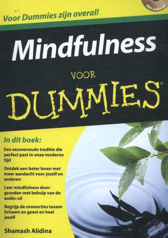 Voor Dummies  -   Mindfulness voor Dummies