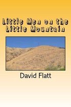 Little Men on the Little Mountain