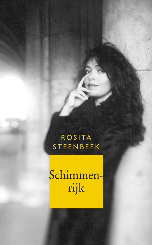 Omslag van Schimmenrijk door Rosita Steenbeek