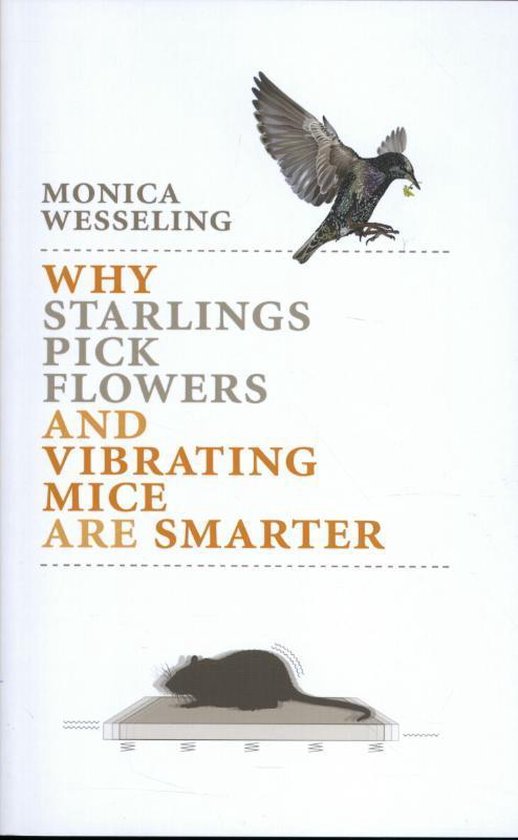 Why starlings pick flowers and vibrating mice are smarter, Monica