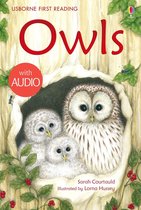 First Reading 4 - Owls
