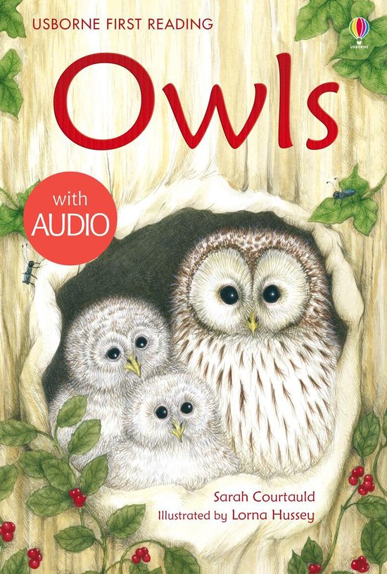 First Reading 4 - Owls - cover