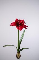 Amaryllis met bol - zijden bloem - rood - topkwaliteit - 58cm
