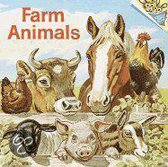 Farm Animals