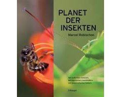 Planet der Insekten
