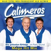 Die Grobten Erfolge - Mega Hit Mix