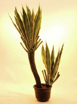 EUROPALMS Orchid-Cactus, artificial plant, 160cm