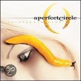 Perfect Circle - Thirteenth Step