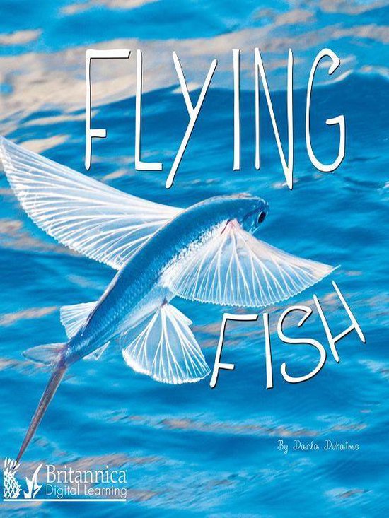 Ocean Animals - Flying Fish - cover