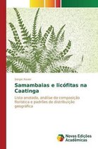 Samambaias e licófitas na Caatinga