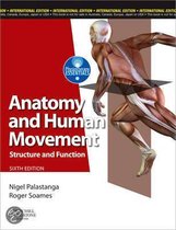 Anatomy And Human Movement