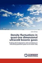 Density Fluctuations in Quasi-One Dimensional Ultracold Bosonic Gases